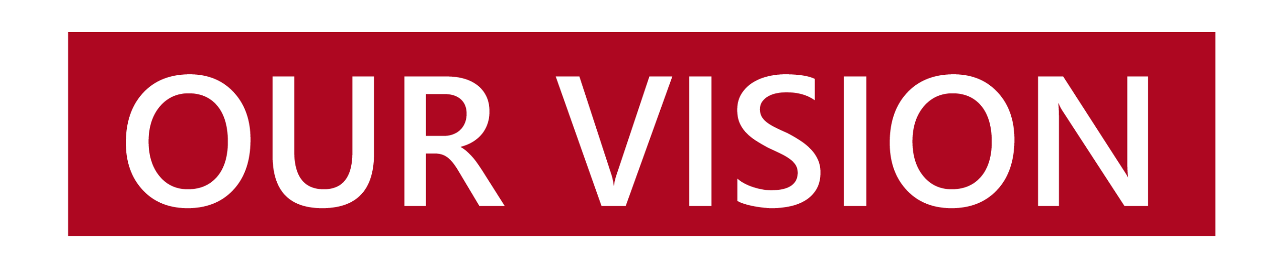 Our Vision - Background Clean-01